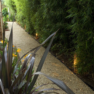 This is an example of a contemporary side yard garden in San Francisco with with privacy feature.