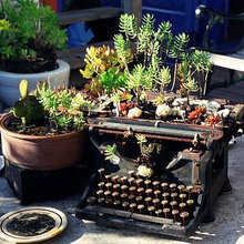 Patio Ideas