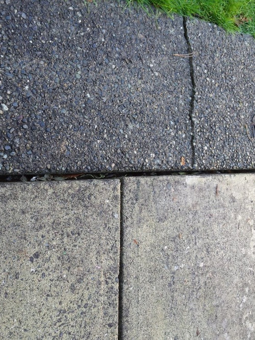 Uneven and cracked patio