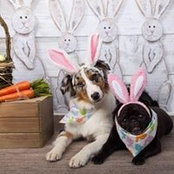 Deborah Rogers's photo