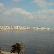 Nermine Husseins foto