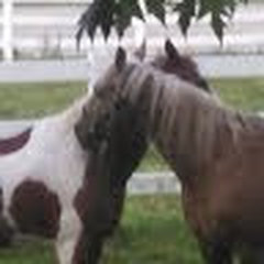 Blessed Acres Farm