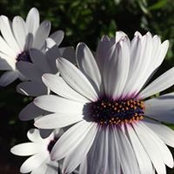 Robyn Hayes's photo