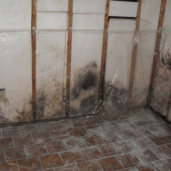 Mold Remediation NJ