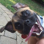 Brian Klebosky's photo