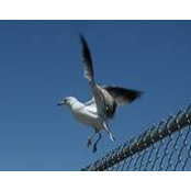 Jeff Hames's photo