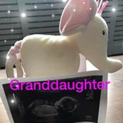 Foto von Hayley Granger