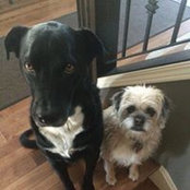 Cliff Stoakley's photo