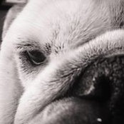 Lucas Daniels's photo