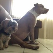 Simone Salustri's photo