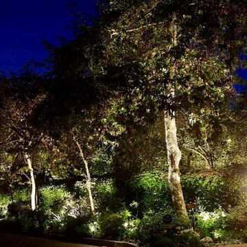 Landscape Lighting Orlando Fl