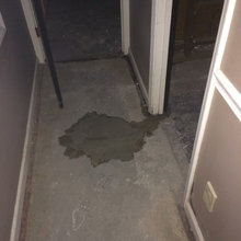 Renovation - Basement