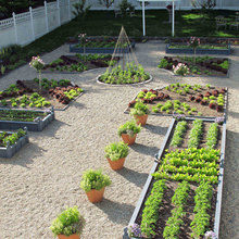 vegetable and herb garden ideas