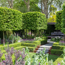 Unusual Garden