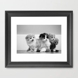 Framed Prints - Artwork