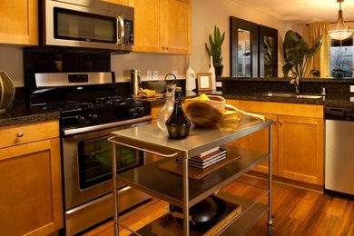 Minimalist kitchen photo in Orange County