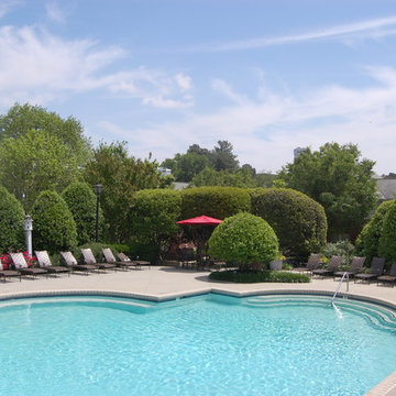 Our Landscape Projects