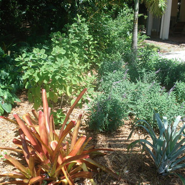 Contemporary Landscape in Weston, FL