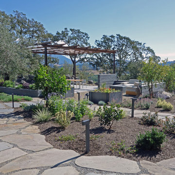 Healdsburg Estate