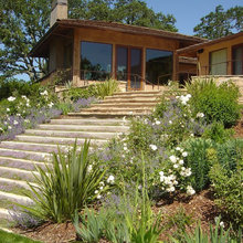 Sonoma Garden
