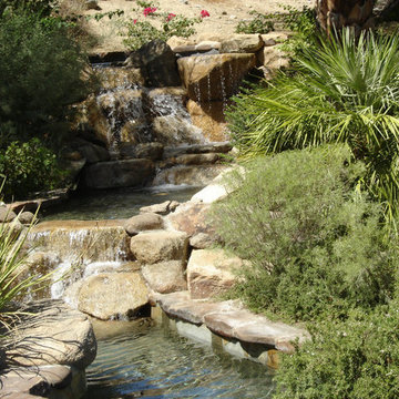 Water Features