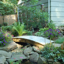 Side yard