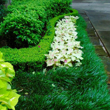 Outdoor Garden Art Gallery and Living Space