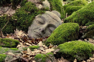 Photo of an asian landscaping in San Francisco.