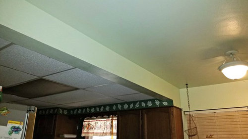Need Advice On What To Do With Drop Ceiling In Kitchen