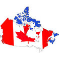 All Canadian Painting's profile photo