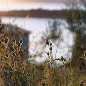 Lia Paschal's photo