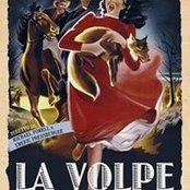 Michael Volpes billede