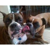 Dennis Zirkle's photo