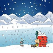 Bev Doan's photo