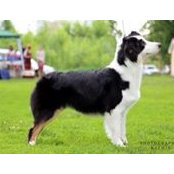 Olga Sadyreva's photo