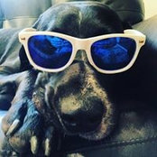 John Rooney's photo