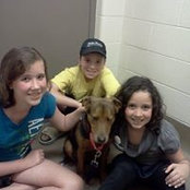 Julie Landsinger's photo