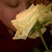 Stacy Ring's photo