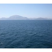 Serap Erguns billede