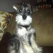 Renee Bechtold Riddleberger's photo