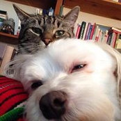 Betty Doherty's photo