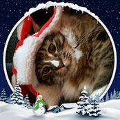 Susan Klapel's photo