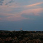 Gina Johnston's photo