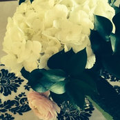 Danni Hosiassohn's photo