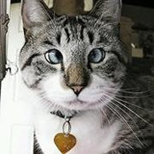 Notty Miao's photo
