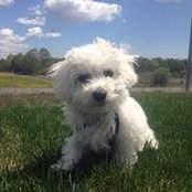 Melissa Olan's photo