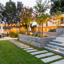 Flag Backyard