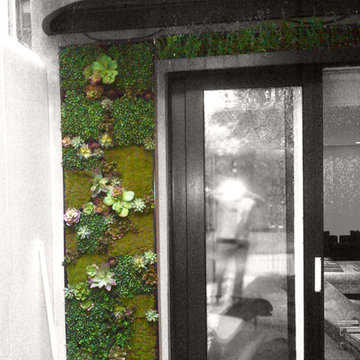 Greenwalls