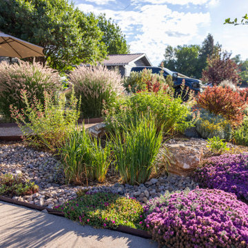 Pollinator Paradise