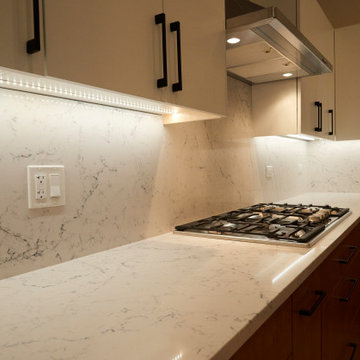 Complete Remodel and Project Management
